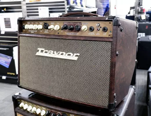 Store Special Product - Traynor - 2-Channel Compact Stereo Acoustic Guitar Amp - 65 Watts